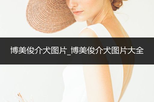 博美俊介犬圖片_博美俊介犬圖片大全