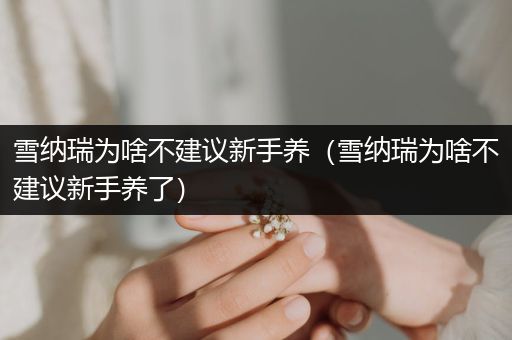 雪納瑞為啥不建議新手養(yǎng)(雪納瑞為啥不建議新手養(yǎng)了)