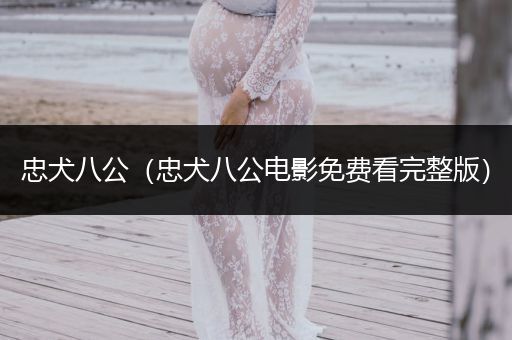 忠犬八公（忠犬八公電影免費(fèi)看完整版）