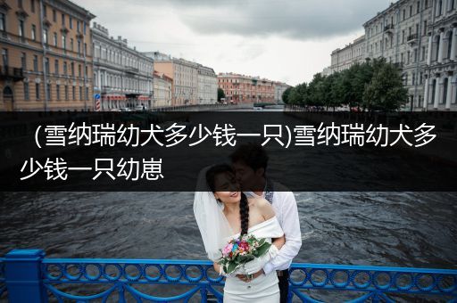 （雪納瑞幼犬多少錢一只)雪納瑞幼犬多少錢一只幼崽