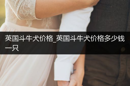 英國斗牛犬價(jià)格_英國斗牛犬價(jià)格多少錢一只