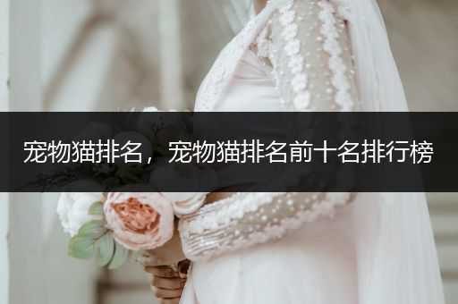 寵物貓排名，寵物貓排名前十名排行榜