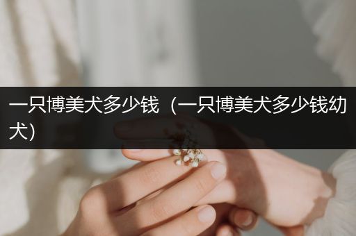 一只博美犬多少錢（一只博美犬多少錢幼犬）