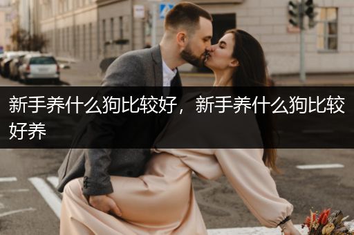 新手養(yǎng)什么狗比較好，新手養(yǎng)什么狗比較好養(yǎng)