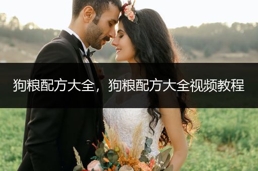 狗糧配方大全，狗糧配方大全視頻教程