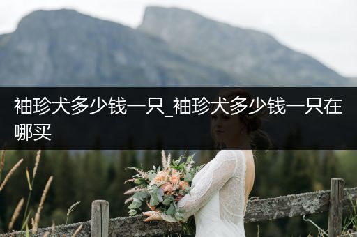 袖珍犬多少錢一只_袖珍犬多少錢一只在哪買