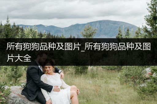 所有狗狗品種及圖片_所有狗狗品種及圖片大全