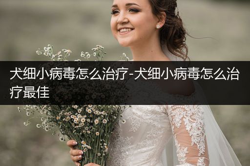 犬細(xì)小病毒怎么治療-犬細(xì)小病毒怎么治療最佳