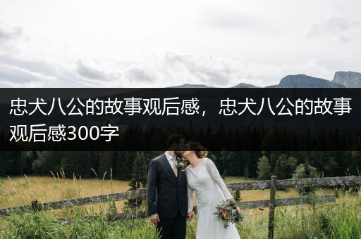 忠犬八公的故事觀后感，忠犬八公的故事觀后感300字