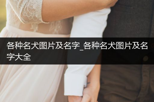 各種名犬圖片及名字_各種名犬圖片及名字大全