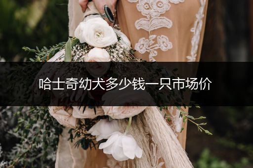 哈士奇幼犬多少錢(qián)一只市場(chǎng)價(jià) 