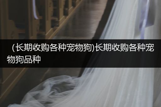 (長期收購各種寵物狗)長期收購各種寵物狗品種