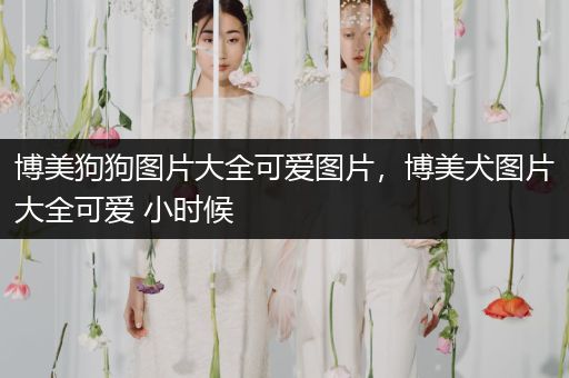 博美狗狗圖片大全可愛圖片，博美犬圖片大全可愛 小時(shí)候