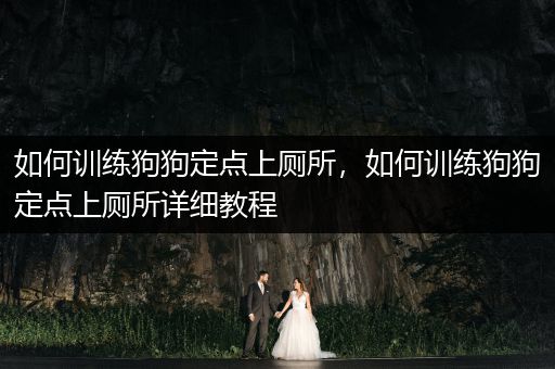 如何訓(xùn)練狗狗定點上廁所，如何訓(xùn)練狗狗定點上廁所詳細(xì)教程
