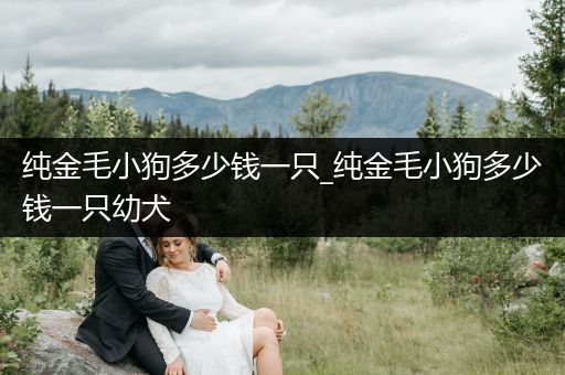 純金毛小狗多少錢(qián)一只_純金毛小狗多少錢(qián)一只幼犬