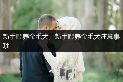 新手喂養(yǎng)金毛犬，新手喂養(yǎng)金毛犬注意事項(xiàng)