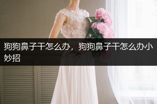 狗狗鼻子干怎么辦，狗狗鼻子干怎么辦小妙招