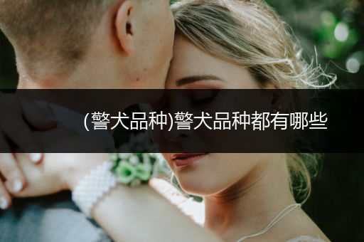 （警犬品種)警犬品種都有哪些