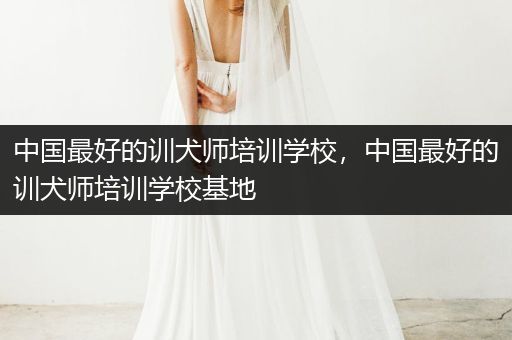 中國最好的訓(xùn)犬師培訓(xùn)學(xué)校，中國最好的訓(xùn)犬師培訓(xùn)學(xué)?；?>
                    </a>
                </div>
                <p><i class=