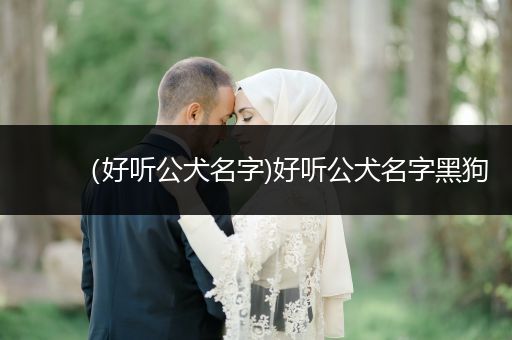 （好聽(tīng)公犬名字)好聽(tīng)公犬名字黑狗