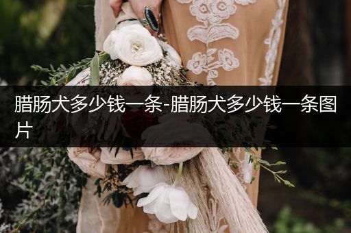 臘腸犬多少錢一條-臘腸犬多少錢一條圖片