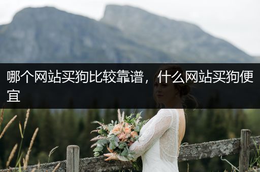 哪個網站買狗比較靠譜，什么網站買狗便宜