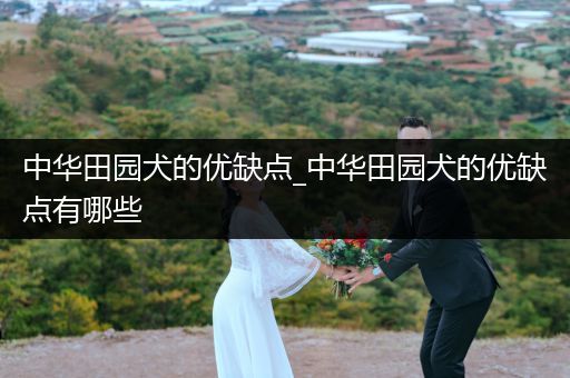 中華田園犬的優(yōu)缺點(diǎn)_中華田園犬的優(yōu)缺點(diǎn)有哪些