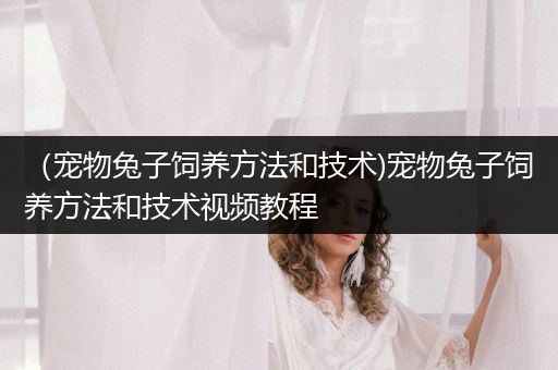 （寵物兔子飼養(yǎng)方法和技術)寵物兔子飼養(yǎng)方法和技術視頻教程