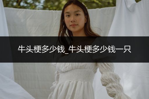 牛頭梗多少錢(qián)_牛頭梗多少錢(qián)一只