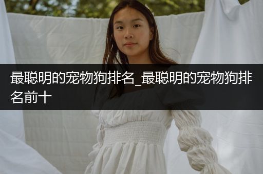 最聰明的寵物狗排名_最聰明的寵物狗排名前十