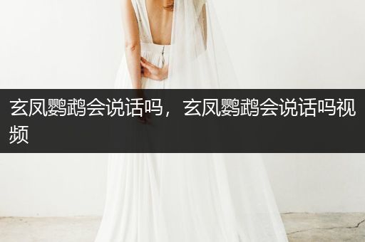 玄鳳鸚鵡會(huì)說話嗎，玄鳳鸚鵡會(huì)說話嗎視頻