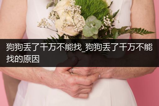 狗狗丟了千萬(wàn)不能找_狗狗丟了千萬(wàn)不能找的原因