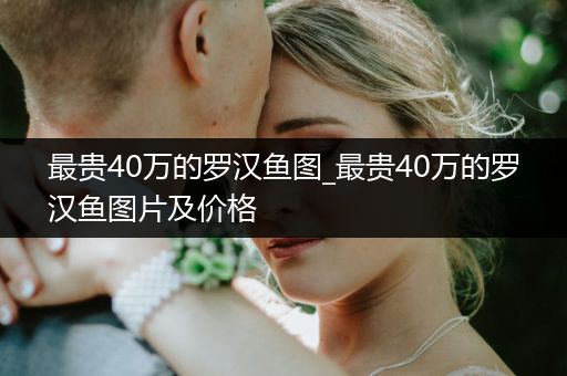 最貴40萬(wàn)的羅漢魚(yú)圖_最貴40萬(wàn)的羅漢魚(yú)圖片及價(jià)格