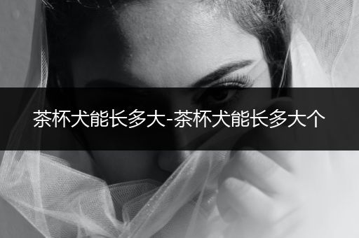 茶杯犬能長(zhǎng)多大-茶杯犬能長(zhǎng)多大個(gè)