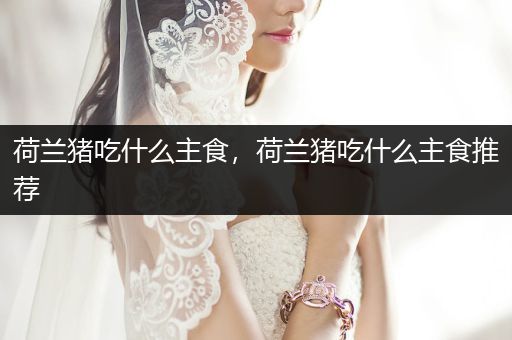 荷蘭豬吃什么主食，荷蘭豬吃什么主食推薦