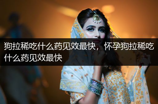 狗拉稀吃什么藥見(jiàn)效最快，懷孕狗拉稀吃什么藥見(jiàn)效最快