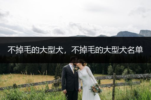 不掉毛的大型犬，不掉毛的大型犬名單