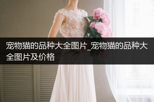 寵物貓的品種大全圖片_寵物貓的品種大全圖片及價(jià)格