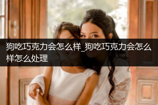 狗吃巧克力會(huì)怎么樣_狗吃巧克力會(huì)怎么樣怎么處理