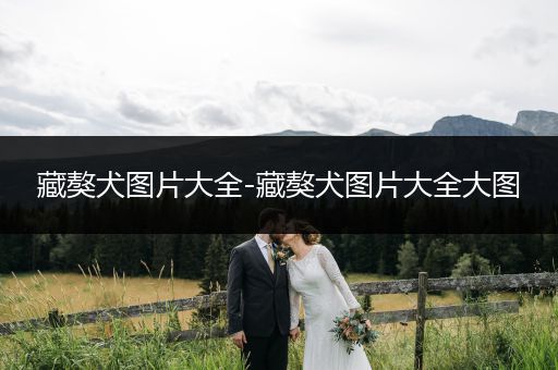 藏獒犬圖片大全-藏獒犬圖片大全大圖