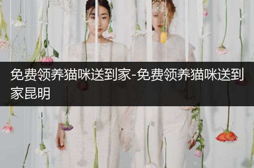 免費(fèi)領(lǐng)養(yǎng)貓咪送到家-免費(fèi)領(lǐng)養(yǎng)貓咪送到家昆明