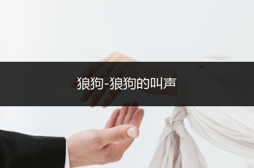 狼狗-狼狗的叫聲