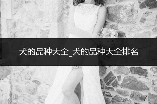 犬的品種大全_犬的品種大全排名