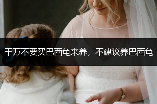 千萬不要買巴西龜來養(yǎng)，不建議養(yǎng)巴西龜