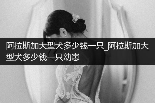 阿拉斯加大型犬多少錢(qián)一只_阿拉斯加大型犬多少錢(qián)一只幼崽