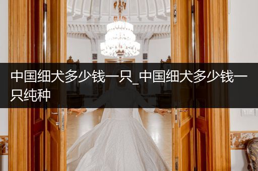 中國細(xì)犬多少錢一只_中國細(xì)犬多少錢一只純種