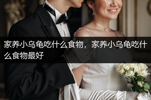 家養(yǎng)小烏龜吃什么食物，家養(yǎng)小烏龜吃什么食物最好