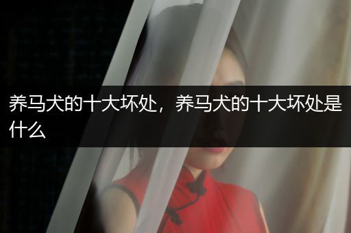 養(yǎng)馬犬的十大壞處，養(yǎng)馬犬的十大壞處是什么