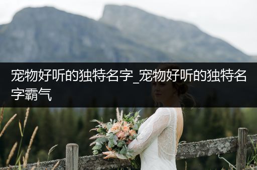 寵物好聽的獨特名字_寵物好聽的獨特名字霸氣