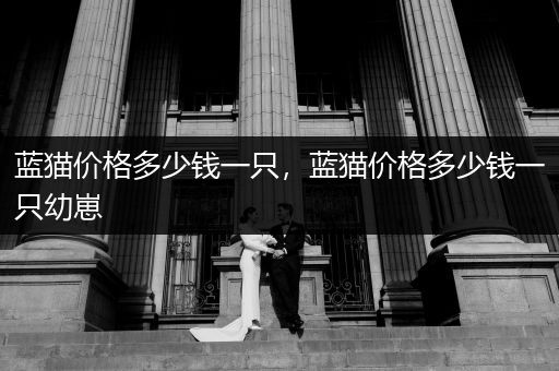 藍貓價格多少錢一只，藍貓價格多少錢一只幼崽